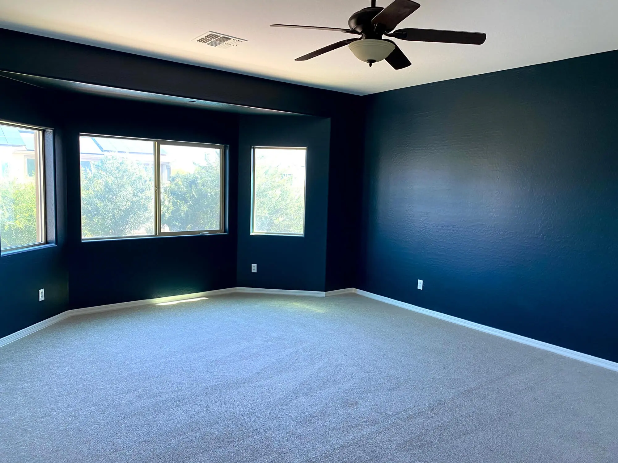An empty room with dark navy blue accent walls and white trim, professionally painted by Butchers Custom Painting.